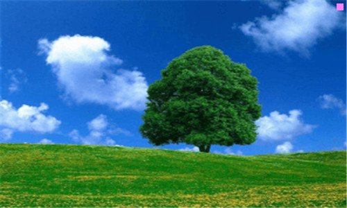 三荷兰介绍有图有文字