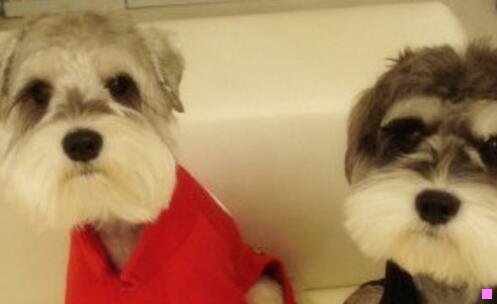 二海南免税店官网