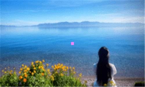 二重生之神算才女