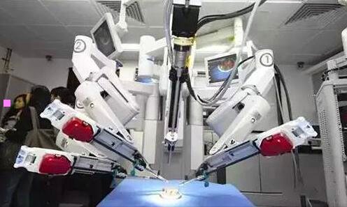 一瑶瑶图片