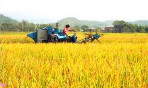 二成都一日游最佳攻略