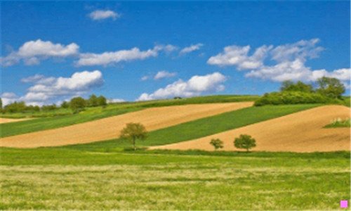 二德川幕府的笃姬