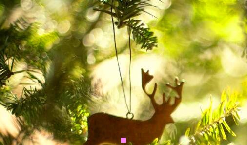 三985为什么给了西农没给西电