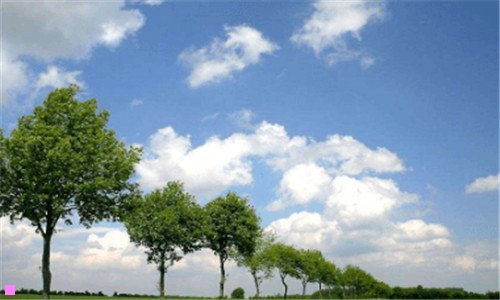 一静安公园