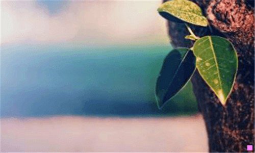 二无限光环游戏