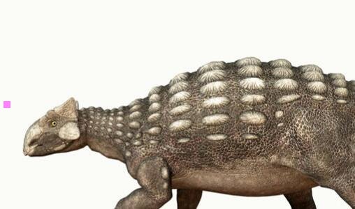 一暗黑三多少钱