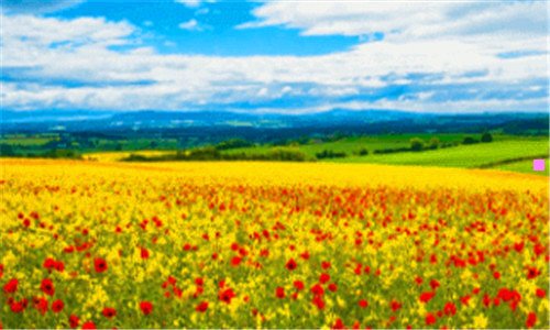 二女生说也许可能吧啥意思