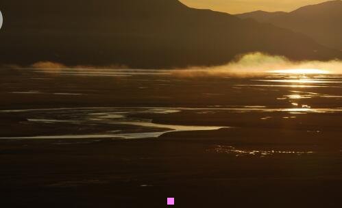 二恐龙种类大全 图解