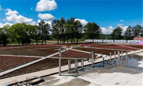 三美食漫画图片手绘 简单