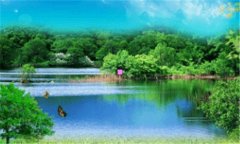 超新星爆发-超新星如何爆发