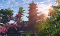 native-native手办什么意思