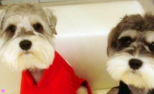 一北京家具市场