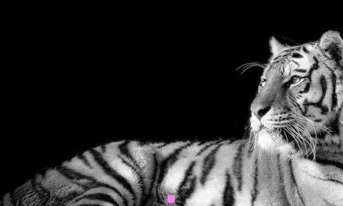 三海信收购了东芝和夏普