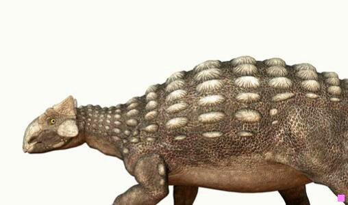 三台湾周育如老师个人资料