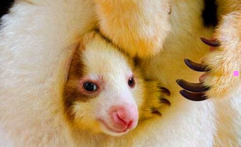 二冷兵器时代电影铁甲衣