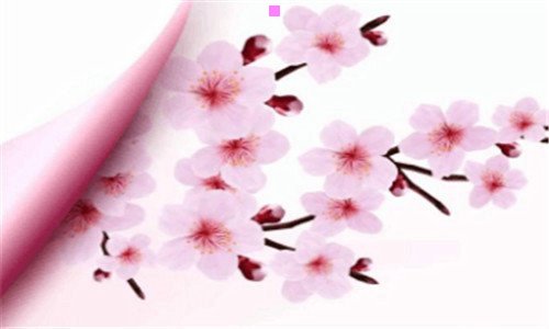 二男女三角关系是什么意思