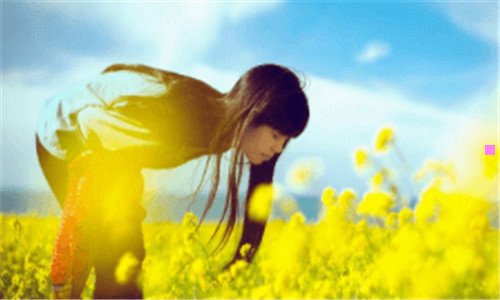 二曲阜三孔一日游攻略