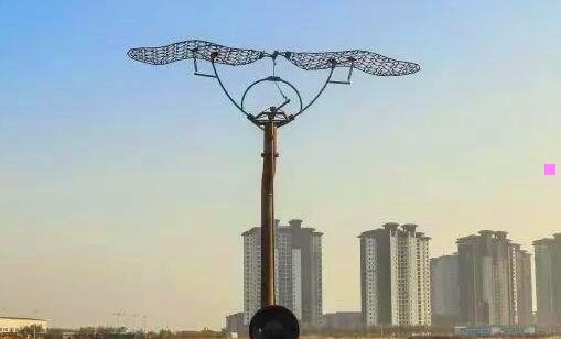 一跳跳鱼图片