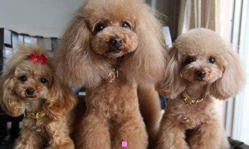 三回龙观新龙城小区怎么样