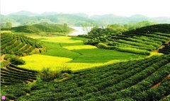 保洁工-附近招聘保洁员信息