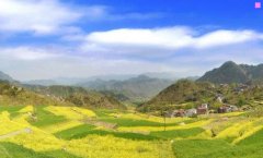企业网络安全方案-网络安全教育