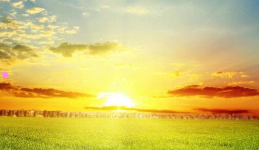 二威露士洗衣液为什么便宜