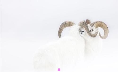 三客运站汽车票查询