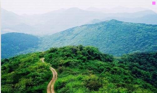 三抚仙湖樱花谷樱花几月份开