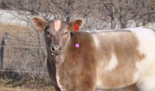 二真抑郁和假抑郁的区别