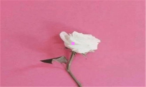 三淘宝商家运费险怎么退运费