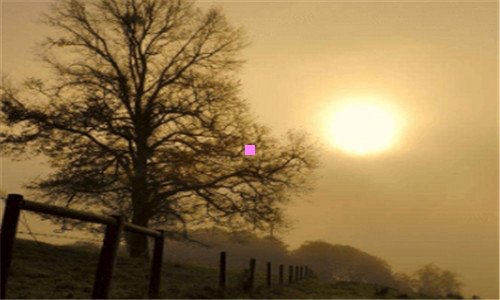 三跨境电商平台排行榜前十名