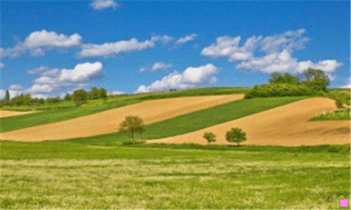 二幽媾之往生讲的什么