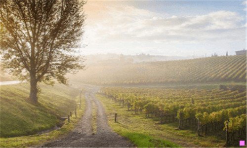 二转动眼睛真的能让眼睛变大吗