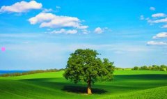 win7解码器-Windows7视频解码软件