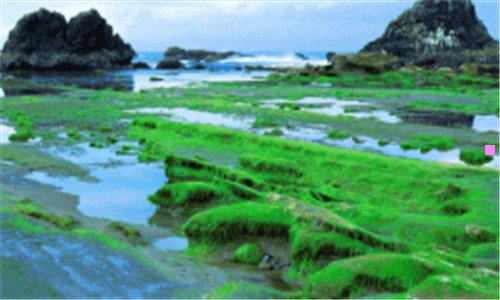 二地推简历
