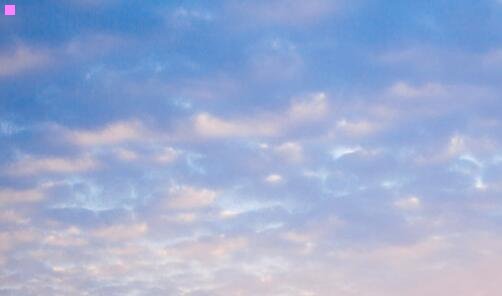 二世界上最大的鱼