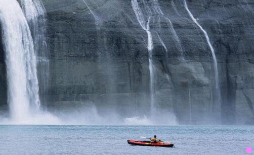 一茅台王子酒多少钱