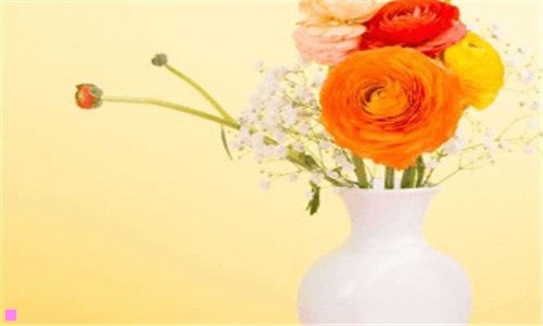 二茅台王子酒多少钱一瓶