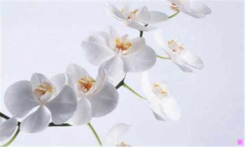 一电子商务管理