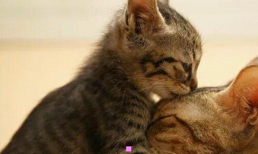 三电子商务系统