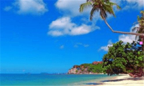 一过氧化氢酶测定