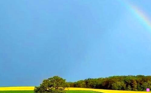 二肥东初中哪个学校好