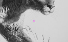 装男人-成熟男人穿西装的图片