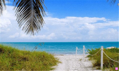 二洛克王国莉娜怀孕