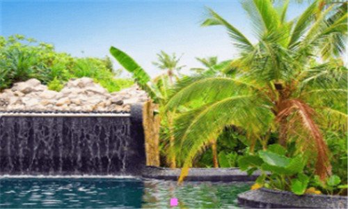 一动画师培训