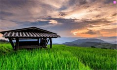 上海广告展-广告展会
