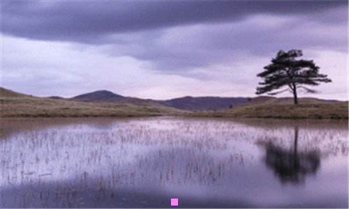 一静冈天气