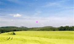 创业心得-创业感悟总结100字