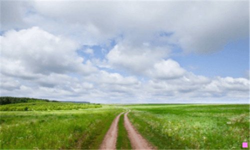 二卢湾体育馆网球场预定