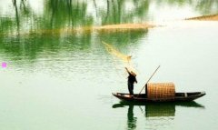 调研员是什么级别-市调研员是什么干部